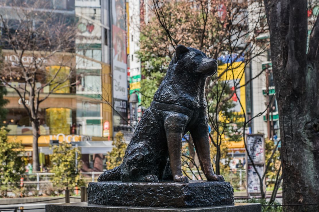 A famed Shibuya meeting spot is this one, epitomized by a legendary, loyal dog.