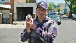 cnnheroes paul santell headshot with kitten