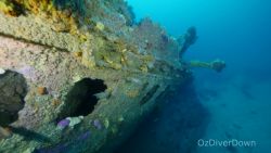 shipwreck nyora found after 102 years