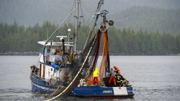 UNITED STATES - 2013/08/21: Fishing boat hauling in net at Point Alava, Misty Fjords National Monument, near Ketchikan in Southeast Alaska, USA. (Photo by Wolfgang Kaehler/LightRocket via Getty Images)
