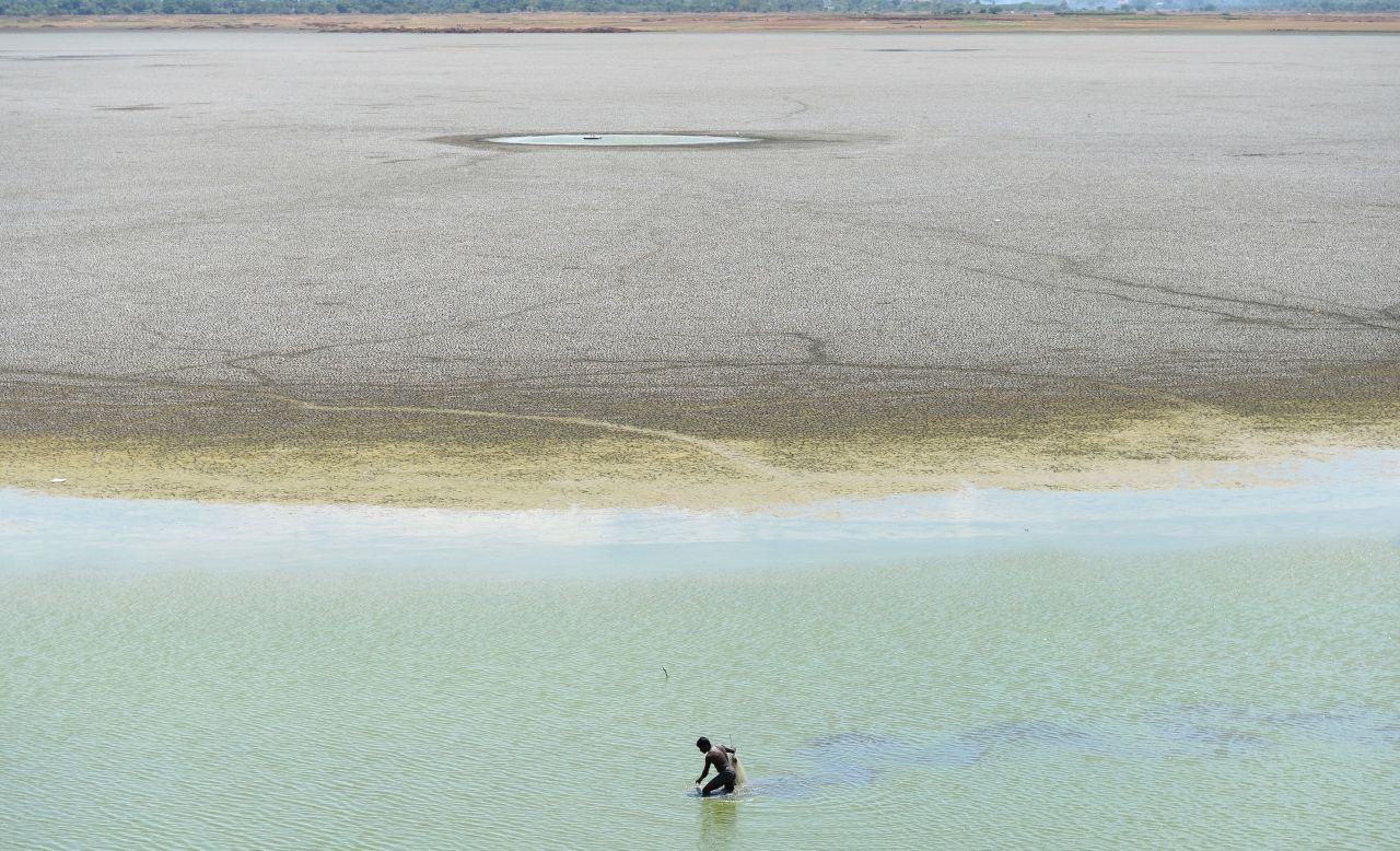 A man searches for fish in the Puzhal reservoir on June 14.