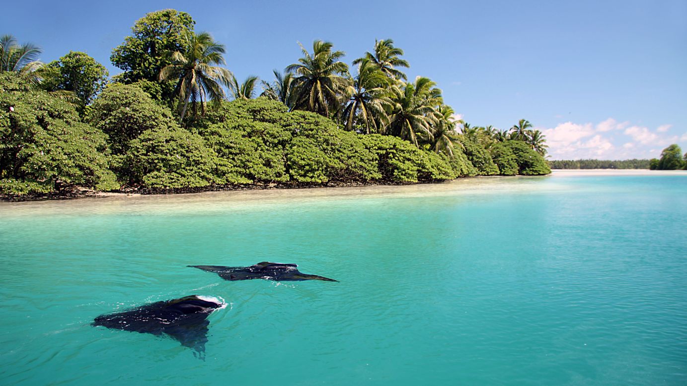 <strong>United States Minor Outlying Islands: </strong>The Pacific Remote Islands Marine National Monument provides valuable habitat for marine wildlife like these manta rays in a Palmyra Atoll lagoon.<br />