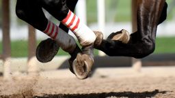 ARCADIA, CA - MARCH 29: Horse racing at Santa Anita Park on Friday, March 29, 2018 in Arcadia, California. (Photo by Keith Birmingham/MediaNews Group/Pasadena Star-News via Getty Images)