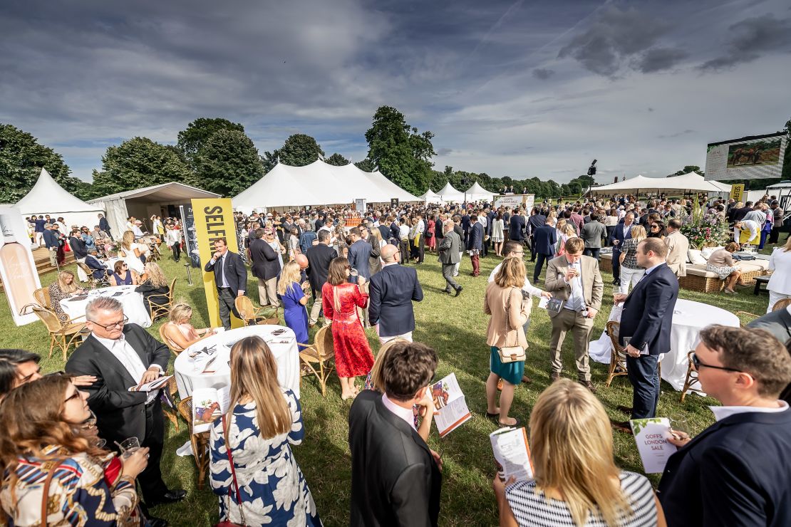 The Goffs Sale is a boutique event for horse racing's glitterati.