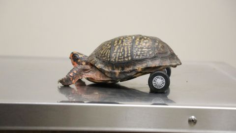 Rollin' on 0.75s