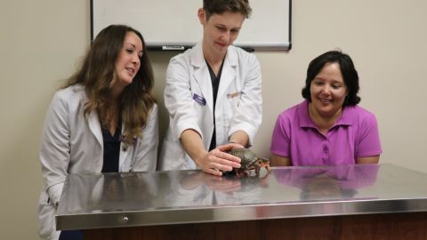 Another veterinary degree put to good use