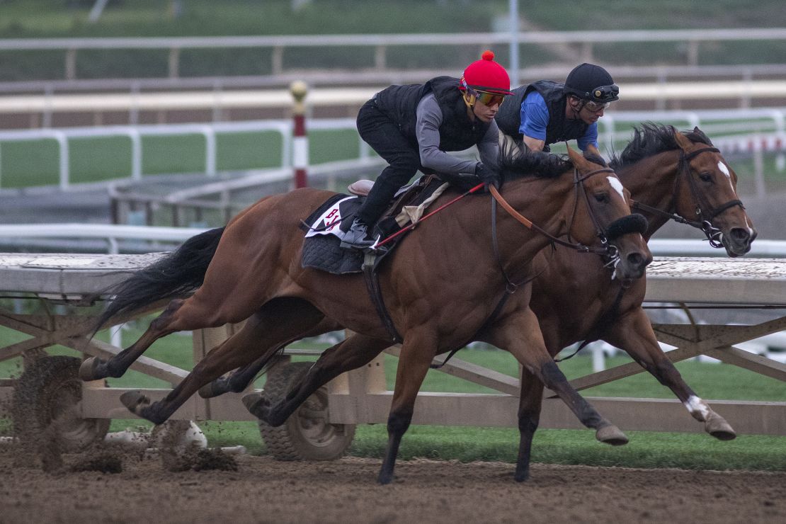 Jockeys take racehorses on a morning workout at Santa Anita, where horses have died after training and racing.