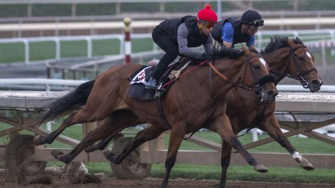 Jockeys take racehorses on a morning workout at Santa Anita, where horses have died after training and racing.