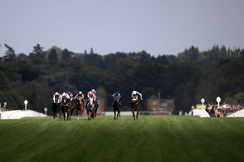 Frankie Dettori riding Advertise leads the field on the run-in in the Commonwealth Cup.