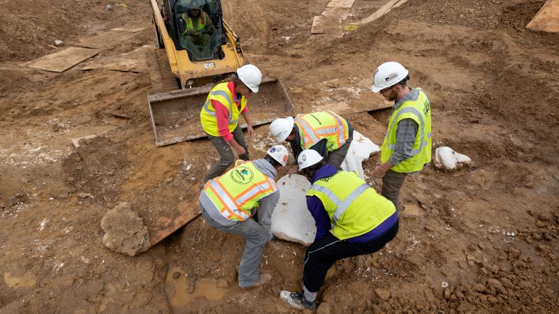 Scientists Say Dinosaur Fossils Found At Colorado Construction Site ...