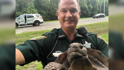 St. Johns County Sheriff's Deputy L. Fontenot stopped a slow-moving gopher tortoise along a busy road north of St. Augustine, Florida.
