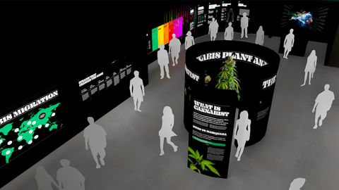 weedmaps museum of weed hollywood