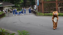 The Tobe Zoo in Japan held a lion escape drill on June 22.