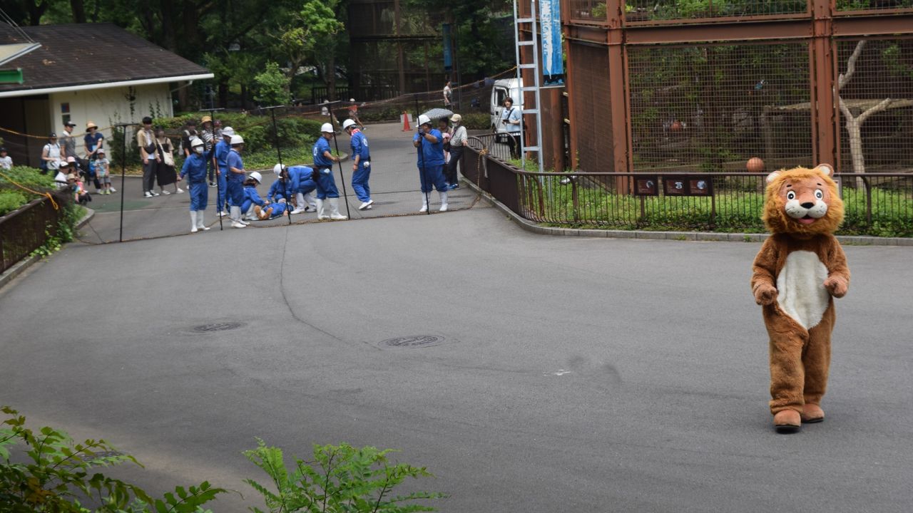 Tobe Zoo in Japan held a lion escape drill on June 22, 2019.