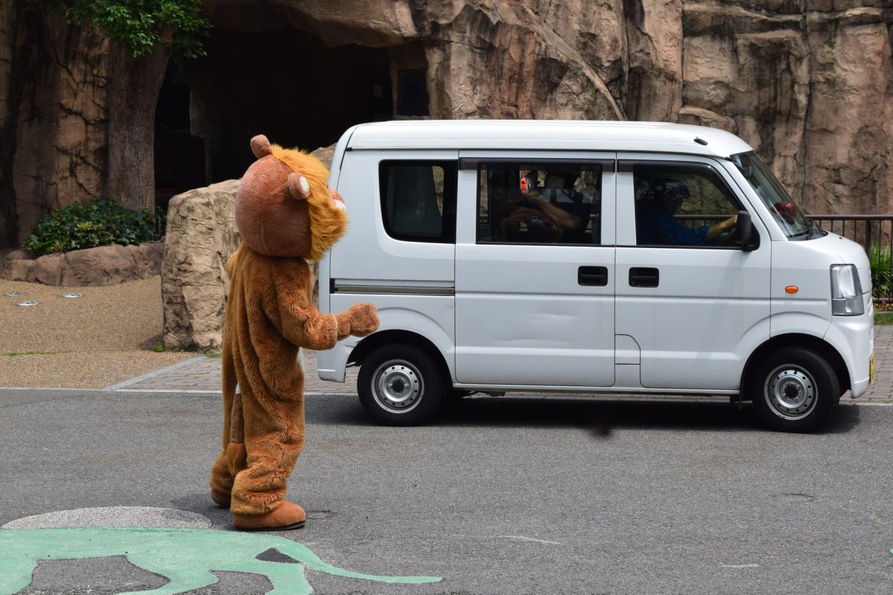 The Tobe Zoo in Japan held a lion escape drill on June 22.