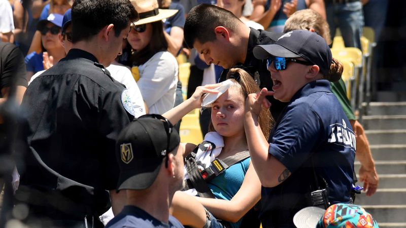 Family of Fan Killed by Foul Ball at Dodger Stadium Calls for More Safety -  The New York Times