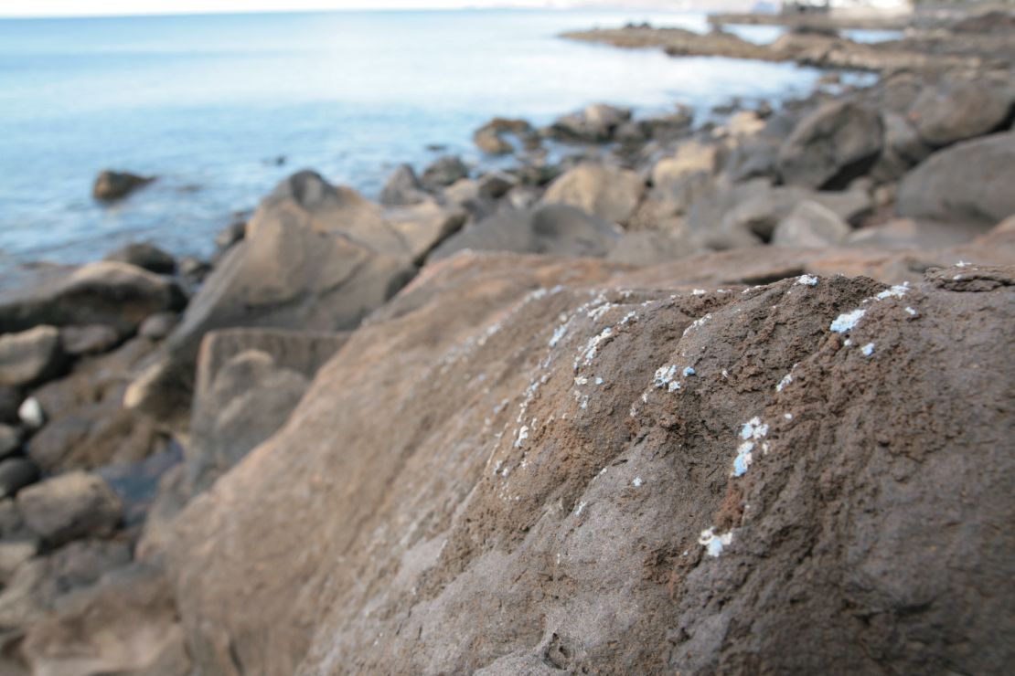 Researchers have discovered 'plasticrusts' -- a layer of plastic encrusted onto rocks on the coast of Madeira. 