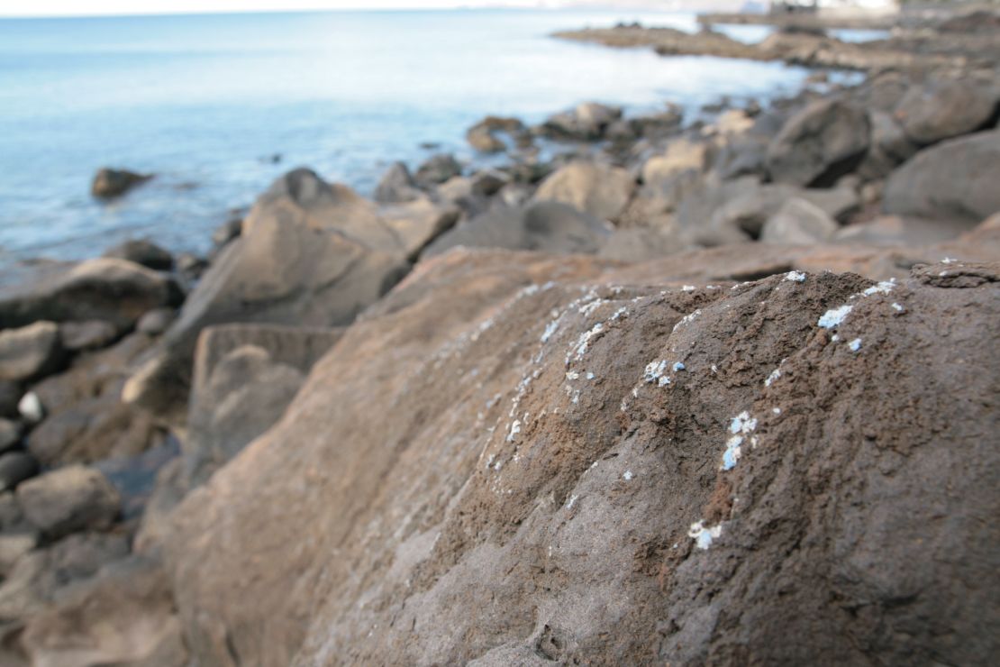 Researchers have discovered 'plasticrusts' -- a layer of plastic encrusted onto rocks on the coast of Madeira.