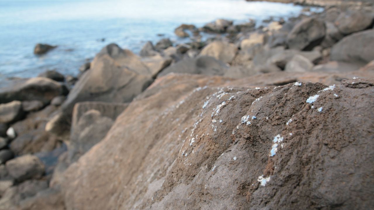 Researchers have discovered 'plasticrusts' -- a layer of plastic encrusted onto rocks on the coast of Madeira. 