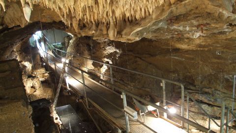 Scladina Cave