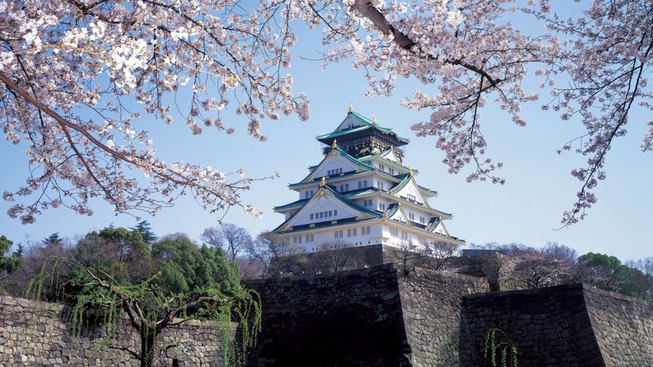For views like this, head to Osaka Castle during spring cherry blossom season. 