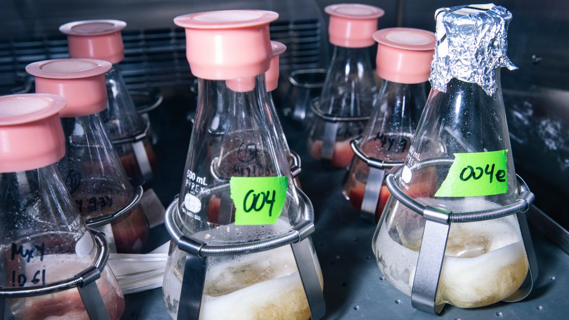 Flasks of soy leghemoglobin — or heme — undergo fermentation inside a shaker at Impossible Foods' research and development lab.