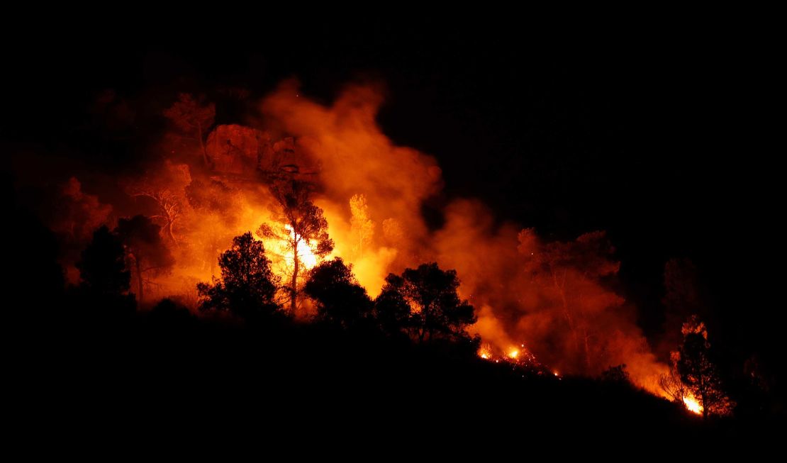 Trees burn during the forest fire west of Tarragona on June 27.