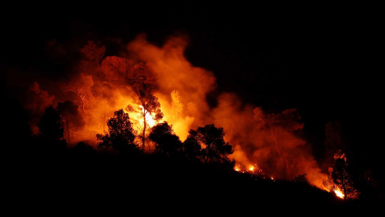Trees burn during the forest fire west of Tarragona on June 27.