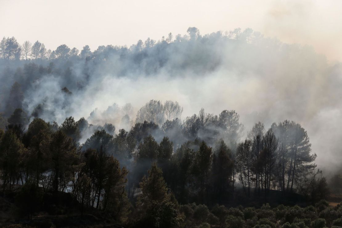 Smoke billows from a forest fire raging near Flix in the northeastern region of Catalonia on June 27, 2019.