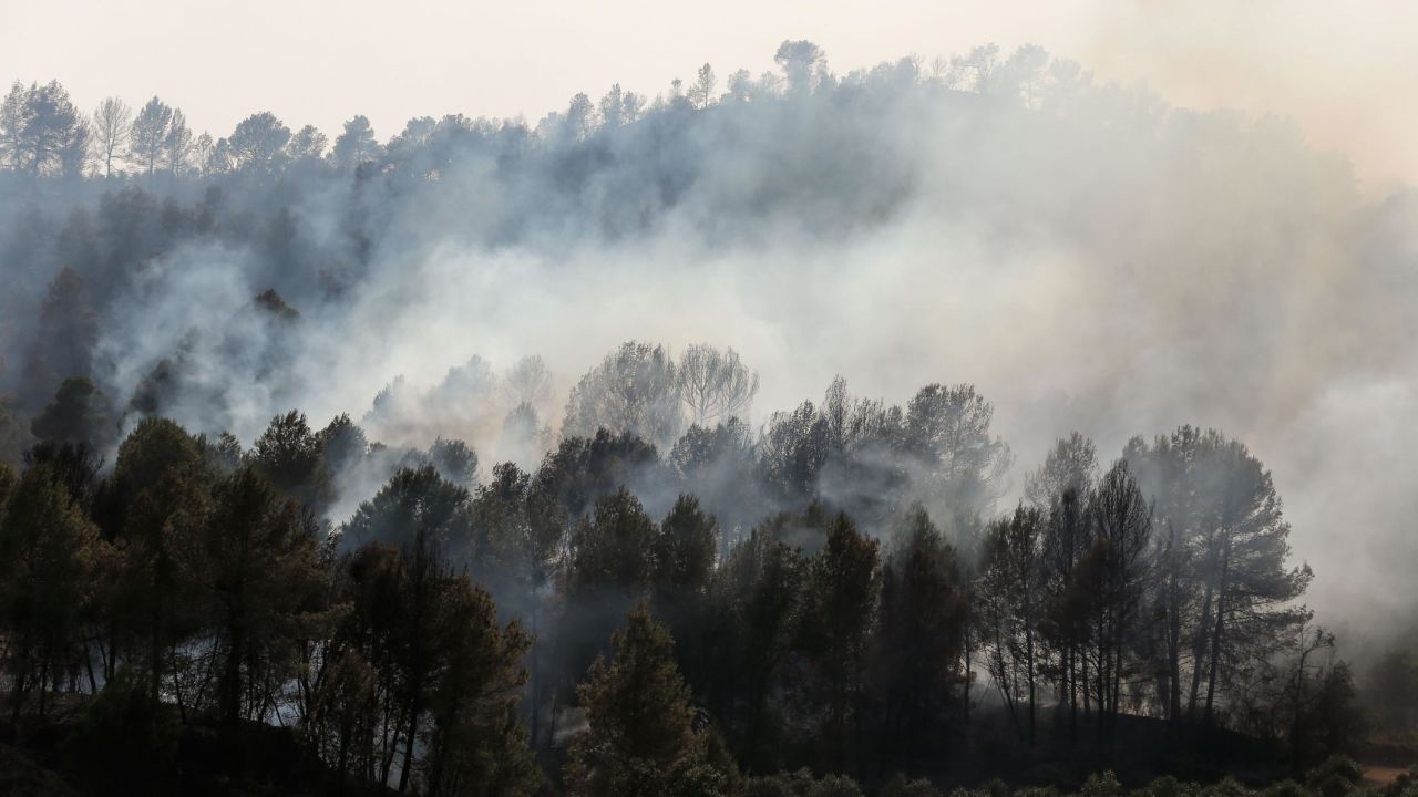 Smoke billows from a forest fire raging near Flix in the northeastern region of Catalonia on June 27, 2019. 
