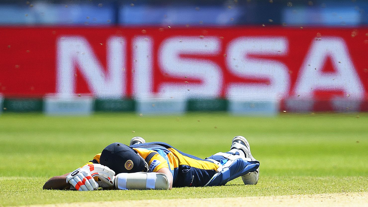Suranga Lakmal of Sri Lanka lays down to avoid a swarm of bees at the Cricket World Cup match between Sri Lanka and South Africa.