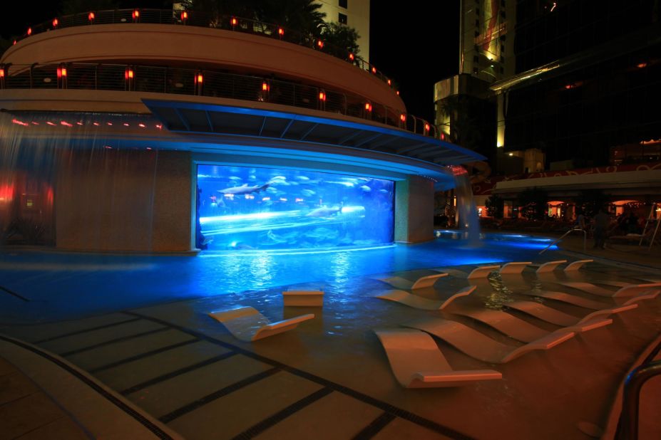 <strong>The Golden Nugget: </strong>The pool's shark tank is a humane certified (meaning the creatures within are treated according to respectful guidelines) attraction and a favorite among adrenaline junkies. 