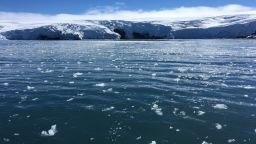 Sea ice in Antarctica is melting. 