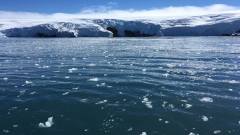 Blocks of ice drift on the water off the coast of Collins glacier on King George Island, Antarctica.