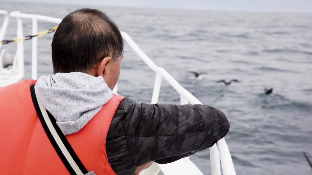 A tourist on the Maeda brothers' boat admires the whales.