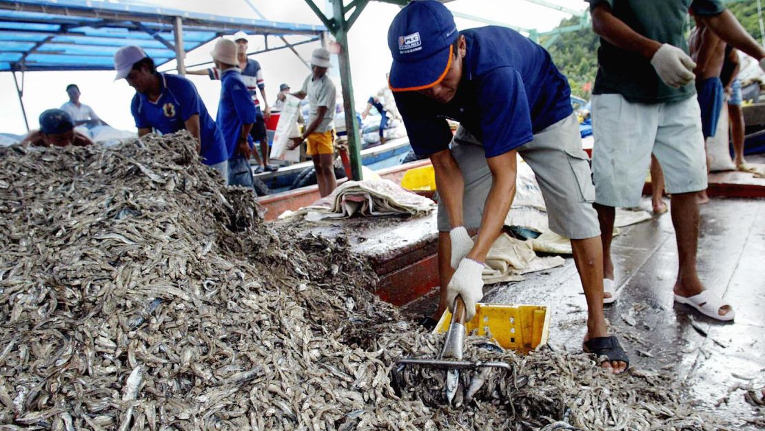 Fishermen unload anchovies, used produce nuoc mam (fish sauce), from a fishing boat at a port in southern Phu Quoc. 