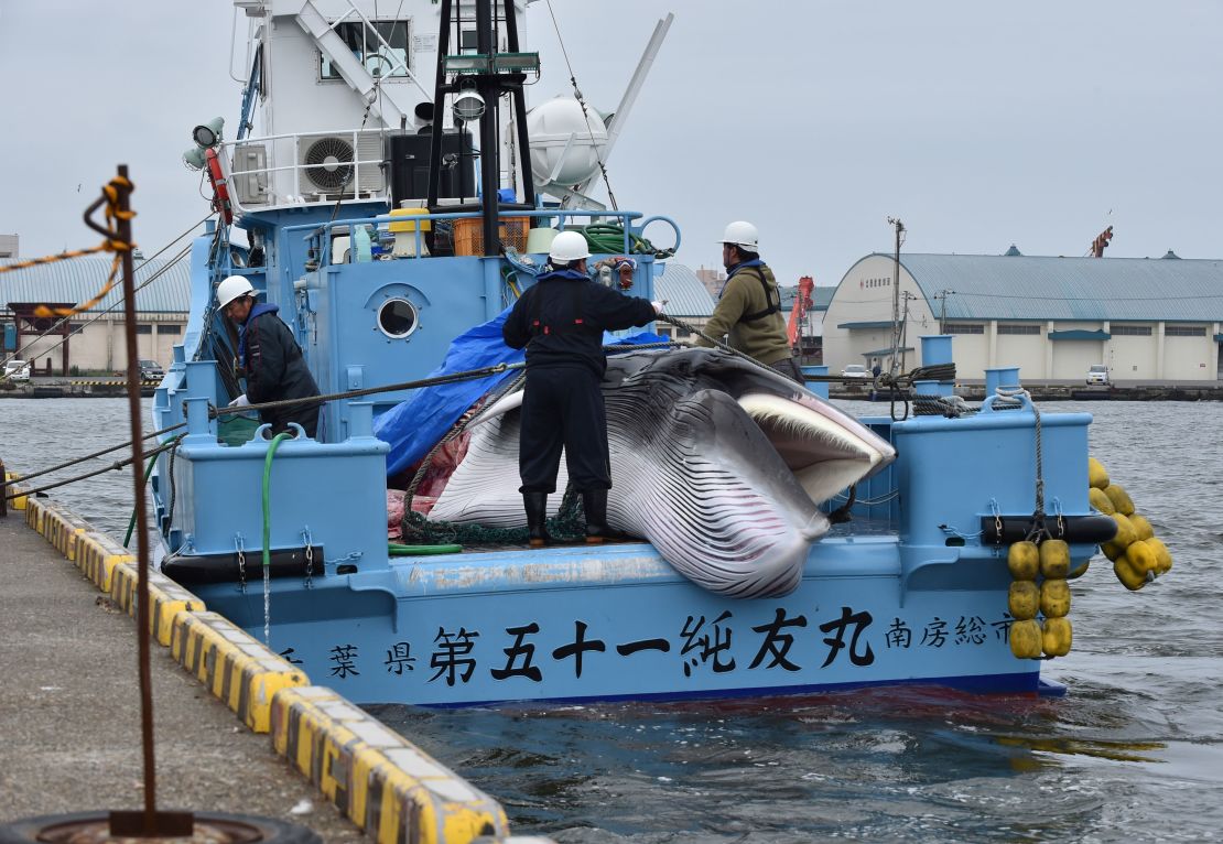 A captured minke whale is unloaded from a ship in Kushiro, Japan, on Monday.