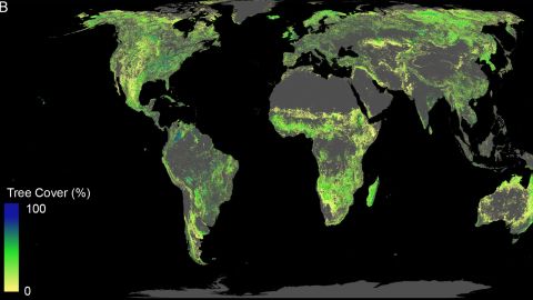 A map fom the study, showing the potential for tree cover, excluding desert, agricultural and urban areas.