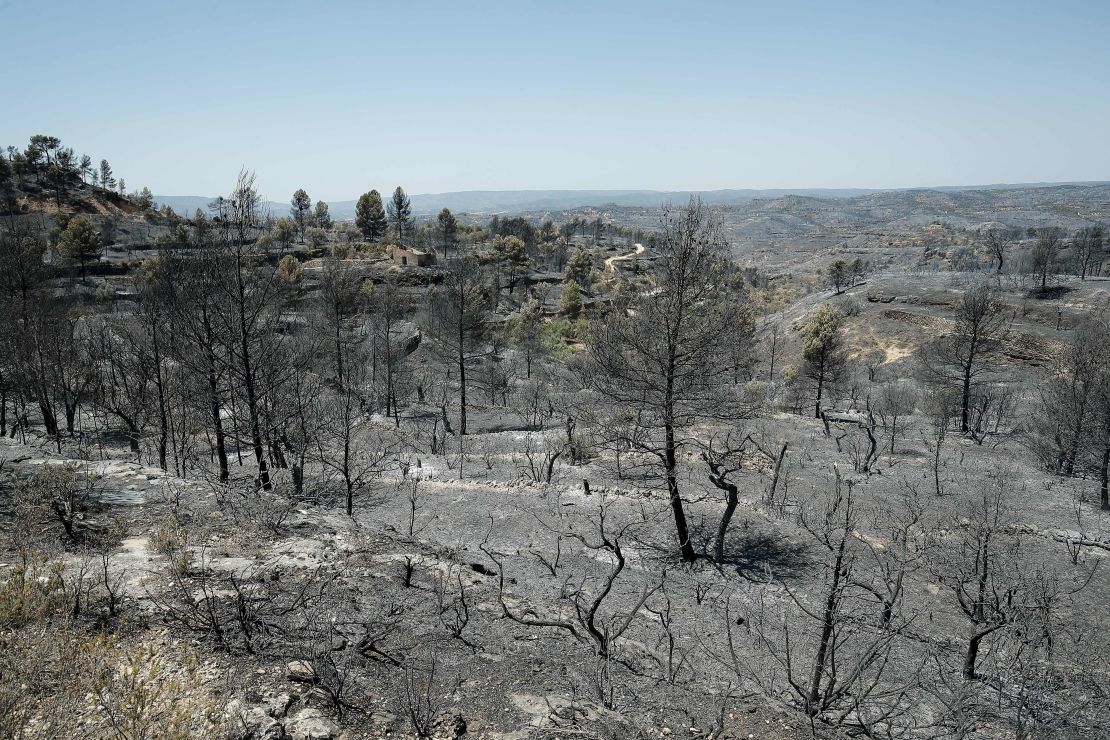 June 28, 2019 -- a forest fire in Catalonia, Spain,  burned more than 6,500 hectares of land.