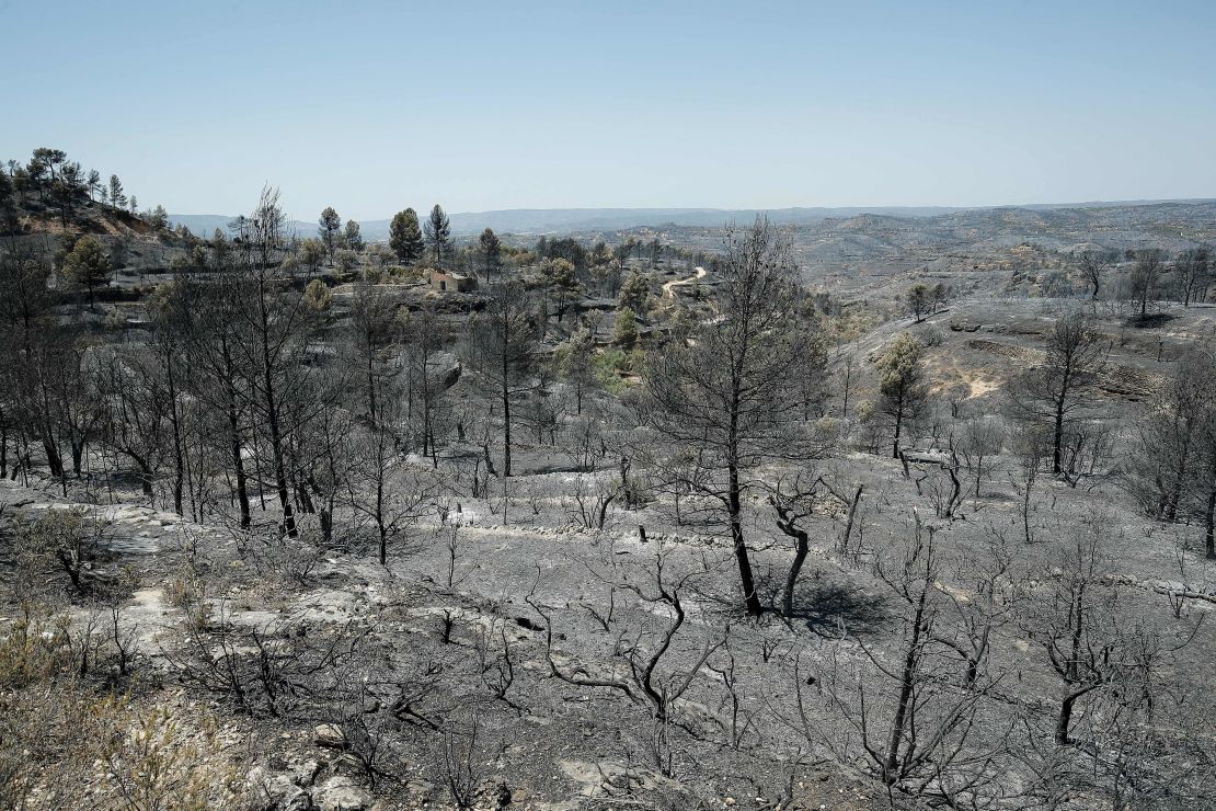 June 28, 2019 -- a forest fire in Catalonia, Spain, burned more than 6,500 hectares of land.