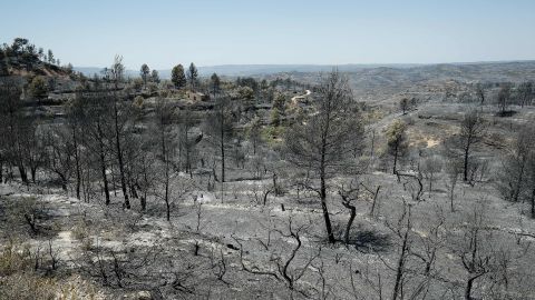 June 28, 2019 -- a forest fire in Catalonia, Spain,  burned more than 6,500 hectares of land.