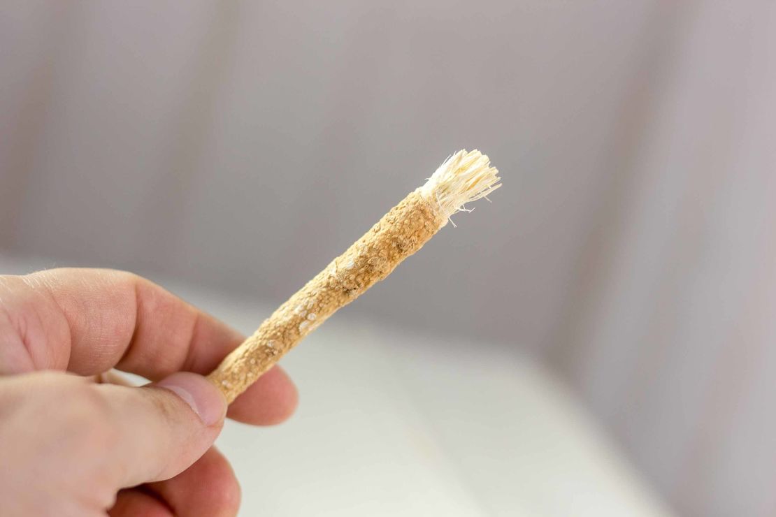 Miswak or siwak - arabian toothbrush for tooth cleaning.