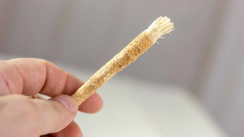 Miswak or siwak - arabian toothbrush for tooth cleaning.