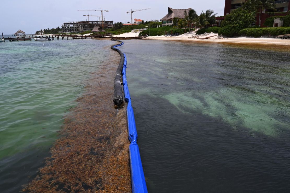 View of a containment barrier to try to keep Sargassum away from the beach of a luxury hotel in Puerto Morelos, Quintana Roo state, Mexico, on May 15, 2019. 