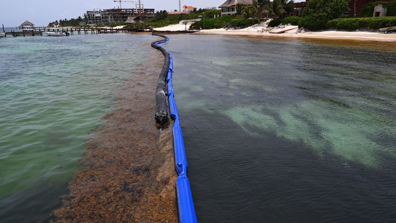 View of a containment barrier to try to keep Sargassum away from the beach of a luxury hotel in Puerto Morelos, Quintana Roo state, Mexico, on May 15, 2019.