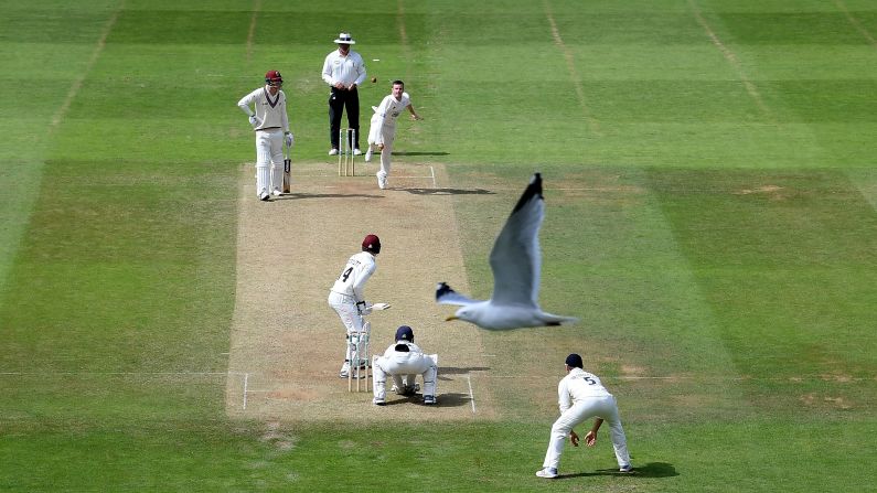 Mason Crane of Hampshire bowls during Day Three of the Specsavers County Championship Division One cricket match between Somerset and Hampshire in Taunton, England, on Tuesday, July 2.