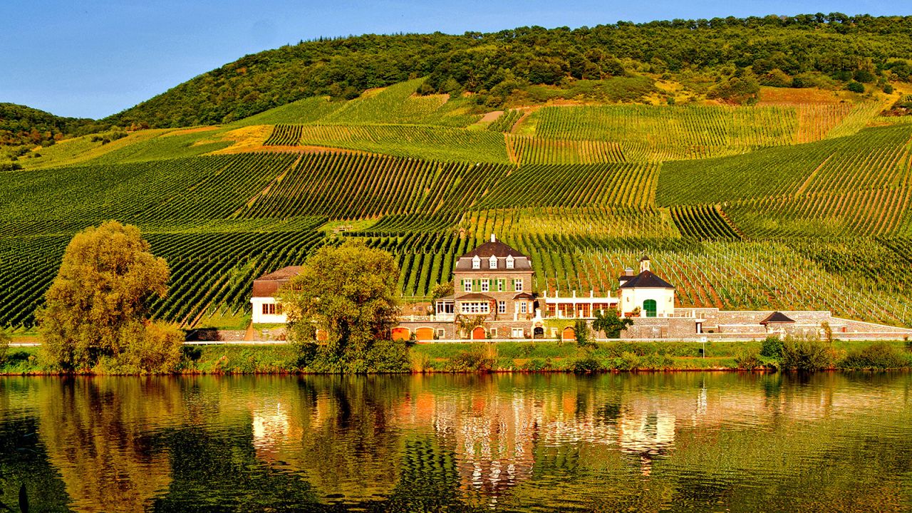 <strong>World's Best Vineyards 2019: </strong>The inaugural World's Best Vineyards awards honored the best wineries which are open to visitors around the world. Germany's Weingut Dr. Loosen was at No. 10. Click through the gallery to discover which destination took the top prize.