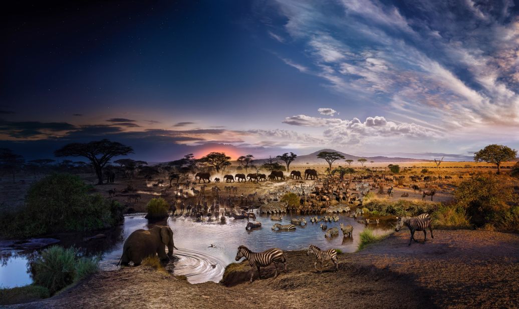 This image of the Serengeti National Park in Tanzania was taken over 26 hours in 2015. 