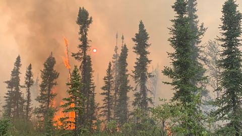 The Hess Creek Fire has been burning since June 21 in central Alaska.