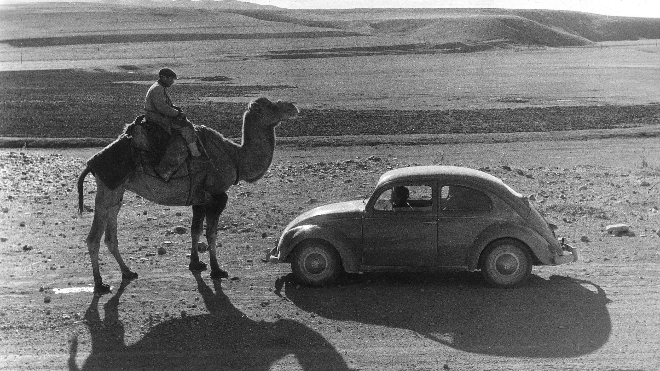  A man riding a camel in Turkey encounters a Beetle on the road from Istanbul and Ankara.  
